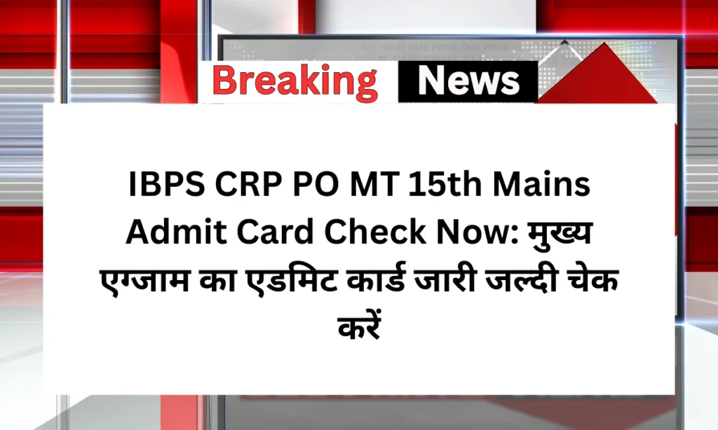 IBPS CRP PO MT 15th Mains